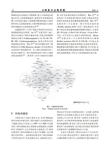 山地农业生物学报2025年5月第3期