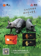 中国食品2025年6月第12期