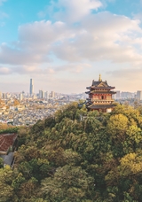 金山2025年4月第4期