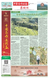 中华合作时报·茶周刊