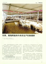 中国畜牧业2019年7月第14期