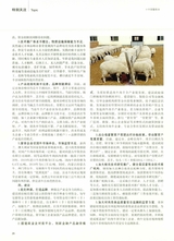 中国畜牧业2019年7月第14期