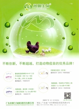 中国畜牧业2019年7月第14期