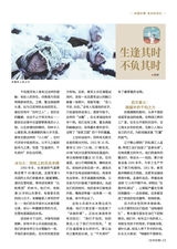 北京纪事2025年11月第11期