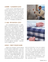 凤凰生活2025年7月第7期