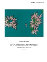 财富生活2025年6月第6期