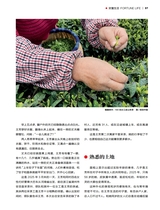 财富生活2025年6月第6期