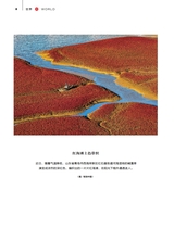 财富生活2025年11月第11期