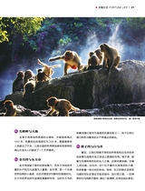 财富生活2025年10月第10期