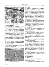 西北园艺2025年10月第10期