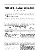 西北园艺2025年10月第10期