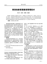 西北园艺2025年10月第10期