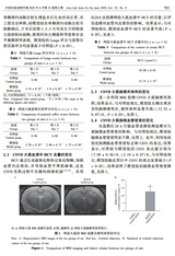 中国实验动物学报2025年6月第6期