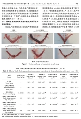 中国实验动物学报2025年6月第6期