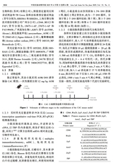 中国实验动物学报2025年6月第6期