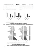 中兽医医药杂志2025年6月第3期