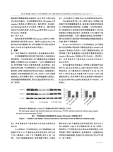 中兽医医药杂志2025年6月第3期