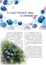 新农业2025年4月第4期