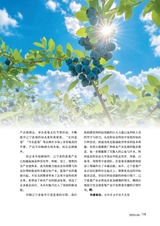 新农业2025年4月第4期