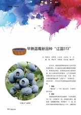 新农业2025年4月第4期