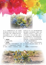 新农业2025年4月第4期