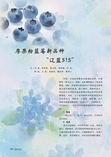 新农业2025年4月第4期