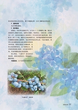 新农业2025年4月第4期