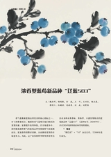 新农业2025年4月第4期