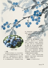 新农业2025年4月第4期