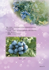 新农业2025年4月第4期