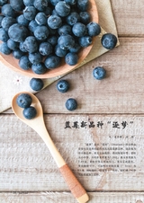 新农业2025年4月第4期