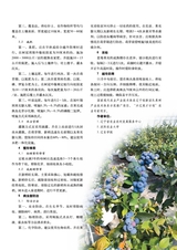 新农业2025年4月第4期