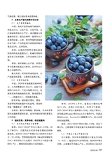 新农业2025年4月第4期