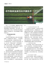 新农业2025年5月第5期