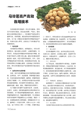 新农业2025年5月第5期