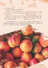 新农业2025年5月第5期