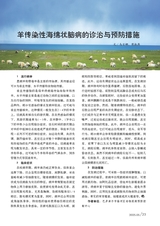 新农业2025年5月第5期