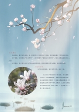 新农业2025年5月第5期