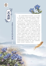 新农业2025年5月第5期