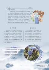 新农业2025年5月第5期