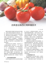 新农业2025年5月第5期