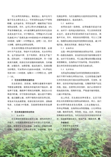 新农业2025年5月第5期