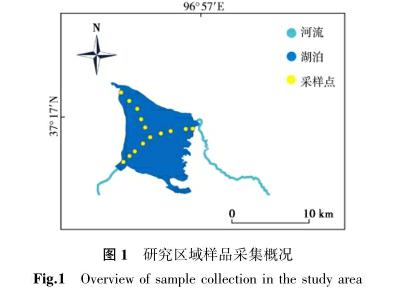 环境生态学