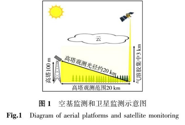 环境生态学