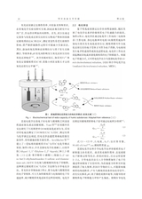 华中农业大学学报2025年7月第4期