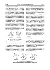 合成化学2025年6月第6期