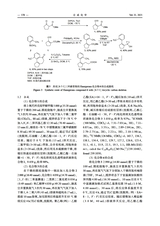 合成化学2025年6月第6期