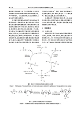 合成化学2025年6月第6期