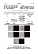 合成化学2025年9月第9期