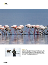 旅游与摄影2024年9月第3期